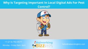 Why Is Targeting Important In Local Digital Ads For Pest Control?